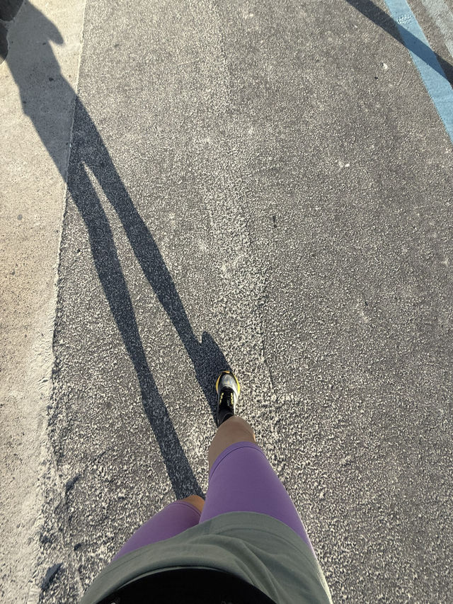 제주도 여행 