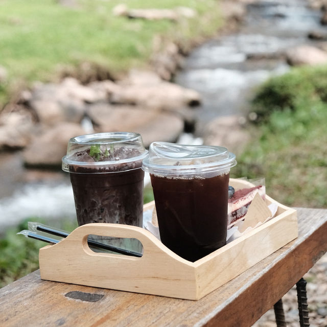 🌿 หลงเขา…แล้วไม่อยากกลับ – หลงเขาคาเฟ่