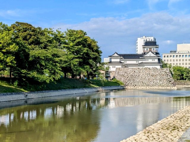 富山 | 富山城&城跡公園，瞭解富山鄉土歷史的好去處