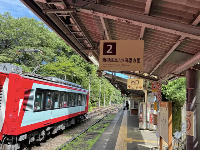 Hakone Highlights: Art, Onsen, and Scenic Views! Hakone Family Trip 👨‍👩‍👧‍👦
