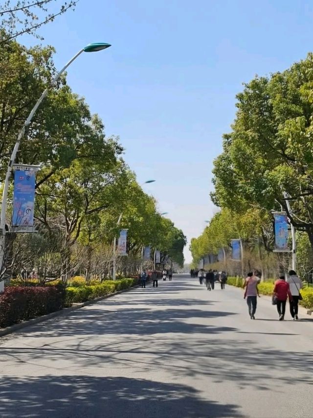 Spring waltz into Gucun Park