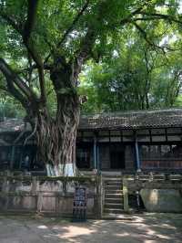Diaoyu Fortress Is History with a View and a Workout