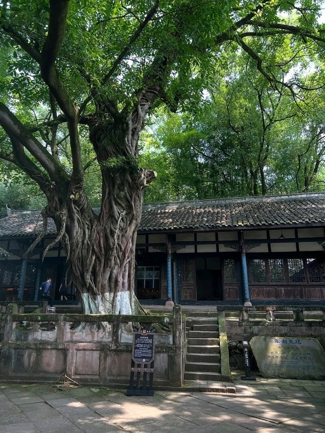 Diaoyu Fortress Is History with a View and a Workout