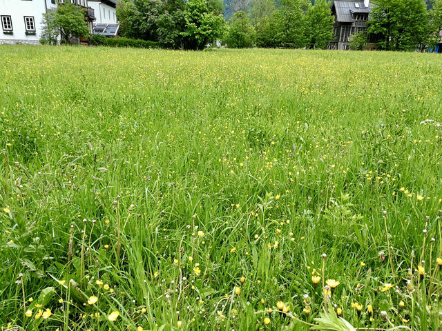 Haus Bellevue: A Peaceful Escape Beyond Hallstatt