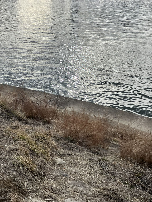 🌊물결 따라 걸은 하루, 용리단길에서 감성 가득한 브런치와 노들섬의 한강 풍경까지