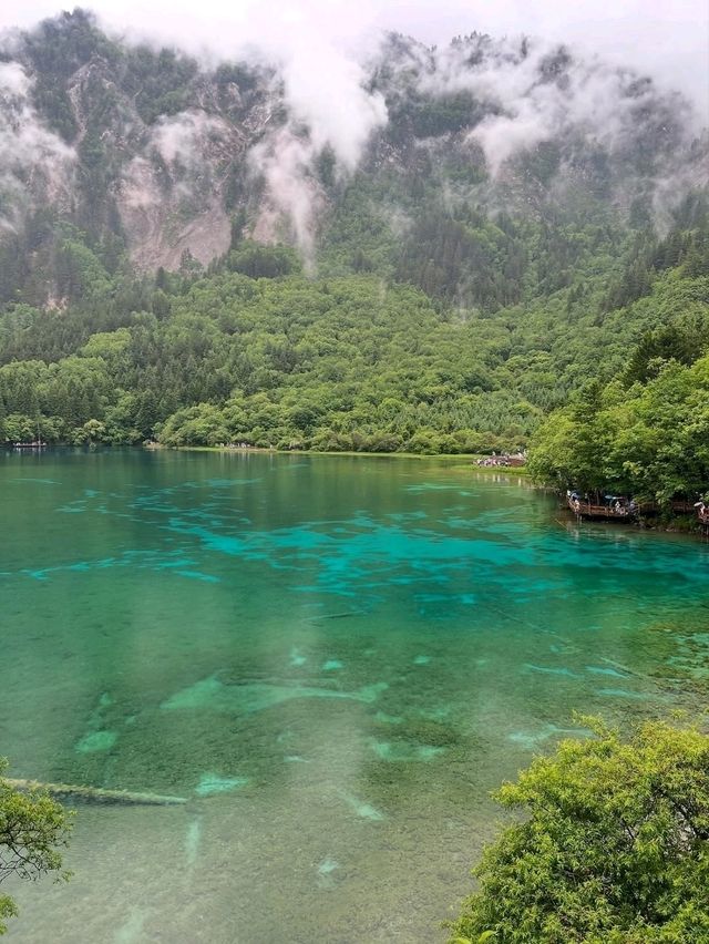 Peacock Lake in Sichuan, Nature Showing Off a Little