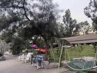 Khaoyai Art tree 