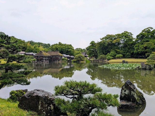 彥根 | 玄宮園，引琵琶湖水而成的日式庭園