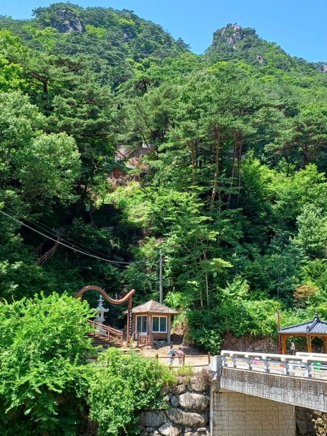 초록으로 물든 여름의 해인사