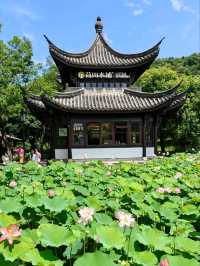 Xianghu Lotus Garden – A Monet Dream Come Alive
