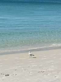 Really a (white) heaven at whitsunday island , Australia 