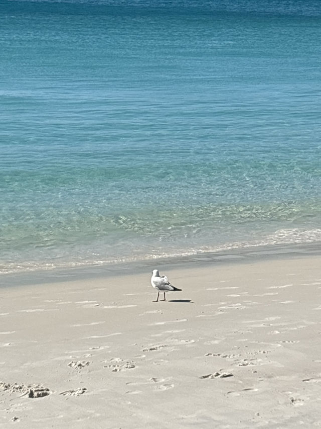 Really a (white) heaven at whitsunday island , Australia 