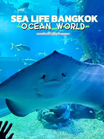 SEA LIFE BANGKOK