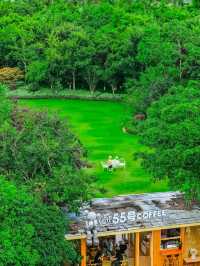 🌿 Hidden Gem in Wenzhou: Qinghe Park in Yueqing — Free Shuttle + Picnic Paradise!