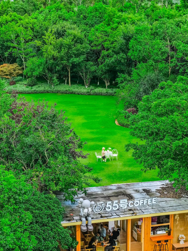 🌿 Hidden Gem in Wenzhou: Qinghe Park in Yueqing — Free Shuttle + Picnic Paradise!