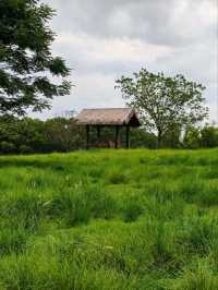 A Harmonious Blend Of Nature And Antiquity