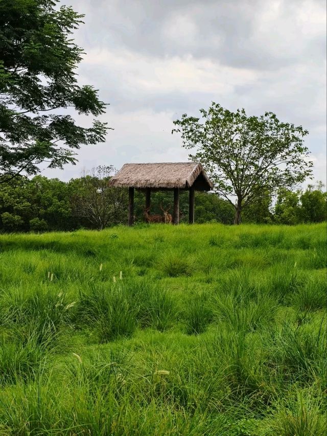 A Harmonious Blend Of Nature And Antiquity