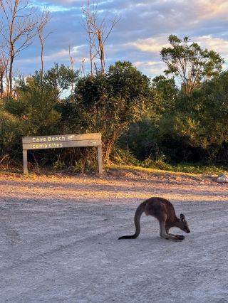 📍Cave Beach NSW  (Jervis Bay)