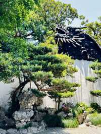 A Classical Chinese Garden Oasis in the Heart of Shanghai
