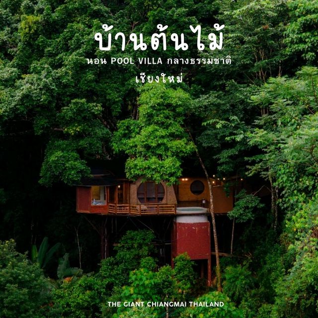 ที่พักบ้านต้นไม้ เชียงใหม่ ที่พักบ้านต้นไม้ เชียงใหม่