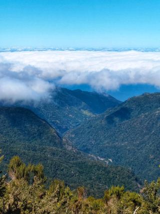 Venturing into the Majestic Mountains of Madeira