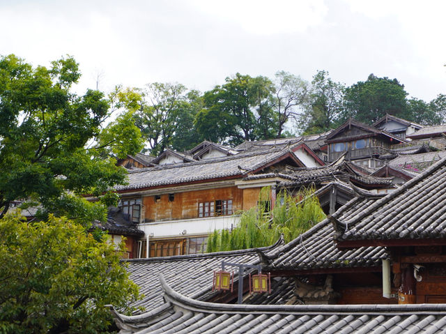 登高望遠，漫遊麗江古城