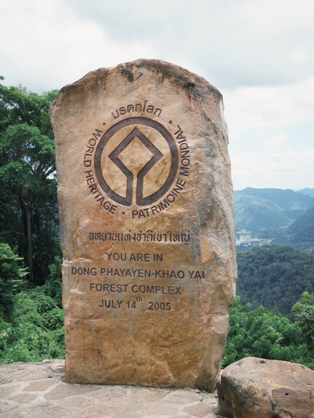 🌲🏞️ เขาใหญ่ — สวรรค์สีเขียวใกล้กรุง