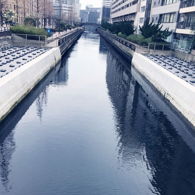 東京🗼田町・SOWCO. Galleryで出会った “聖地のロッカーたち” — 緒方秀美 写真展 & ドラムライブ 東京🗼田町・SOWCO. Galleryで出会った “聖地のロッカーたち” — 緒方秀美 写真展 & ドラムライブ