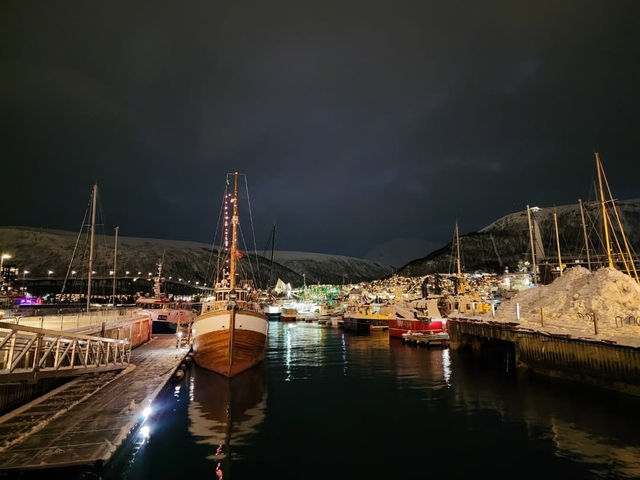 Northern Lights and Arctic Wonders in Tromsø