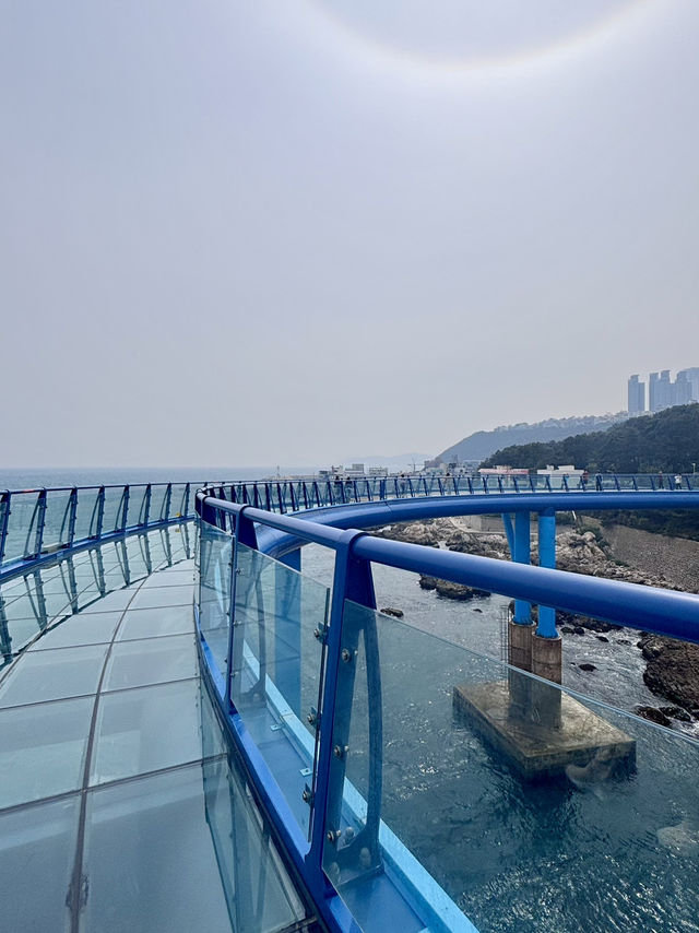【韓国 釜山】 海雲台ブルーラインパーク スカイカプセル　スカイウォーク