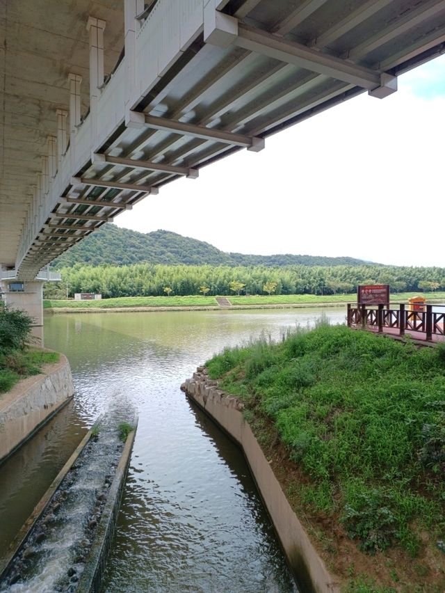 자연과 여유가 흐르는 태화강 🌊🌿