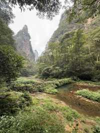 Exploring Zhangjiajie National Forest Park – A Journey into the Real Pandora