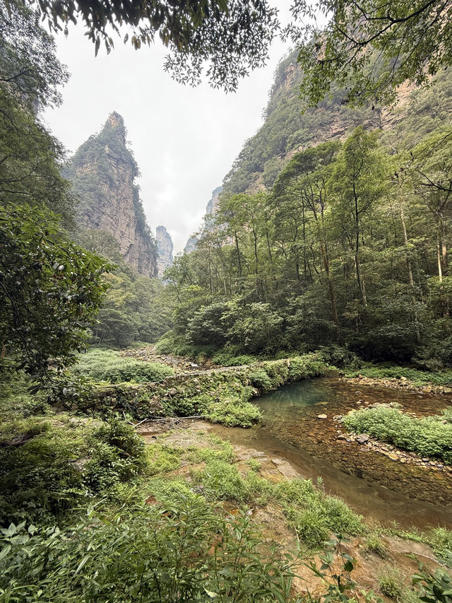 Exploring Zhangjiajie National Forest Park – A Journey into the Real Pandora