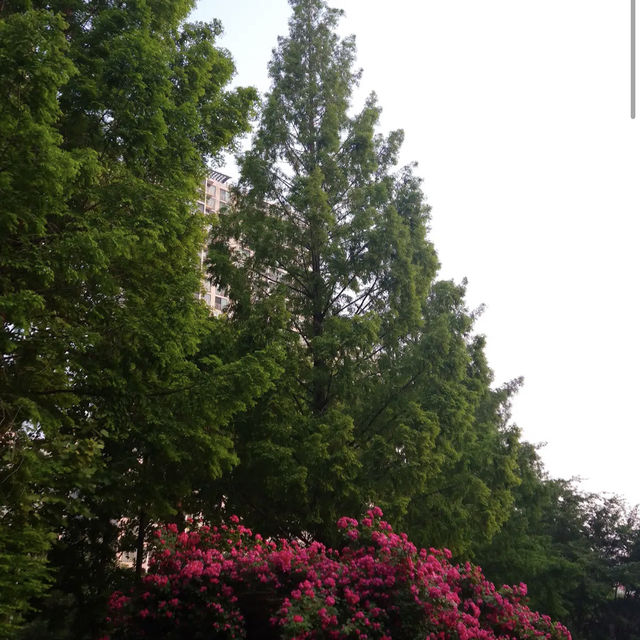 Seokchon Lake Park