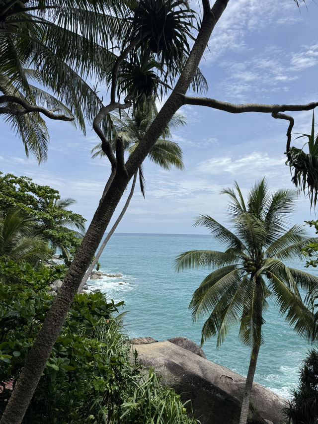 เสื่อผืน หมอนใบ 🌊 คาเฟ่เล็ก ๆ ริมหาดกะรน