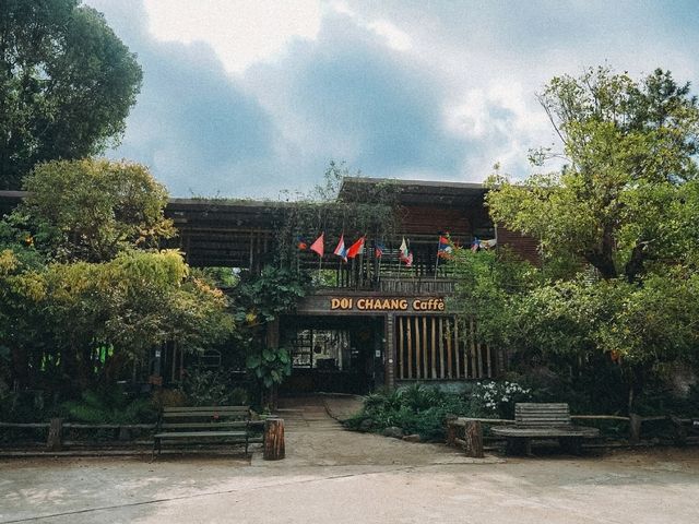 ดอยช้างคาเฟ่