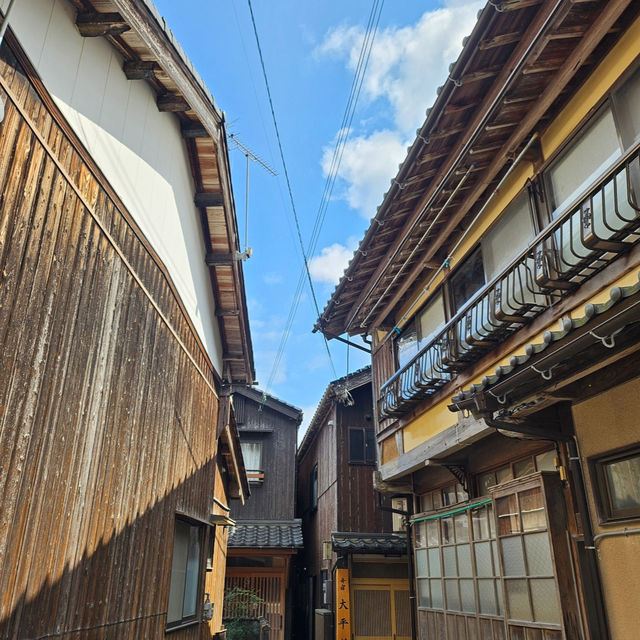 伊根舟屋｜日本海上的秘境小鎮與餵海鷗的浪漫郵輪