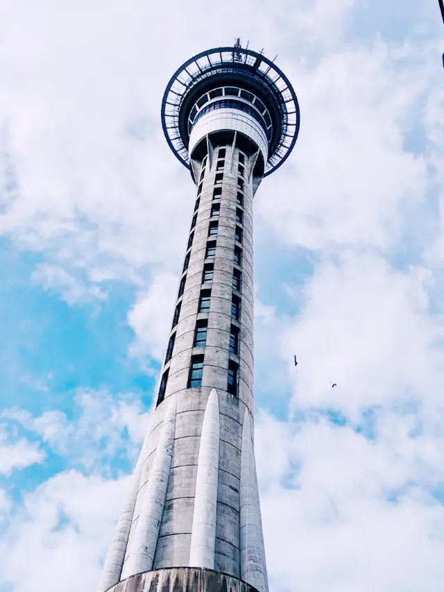 Auckland City Stroll｜Sky Tower and Queen Street One-Day Leisure Walk