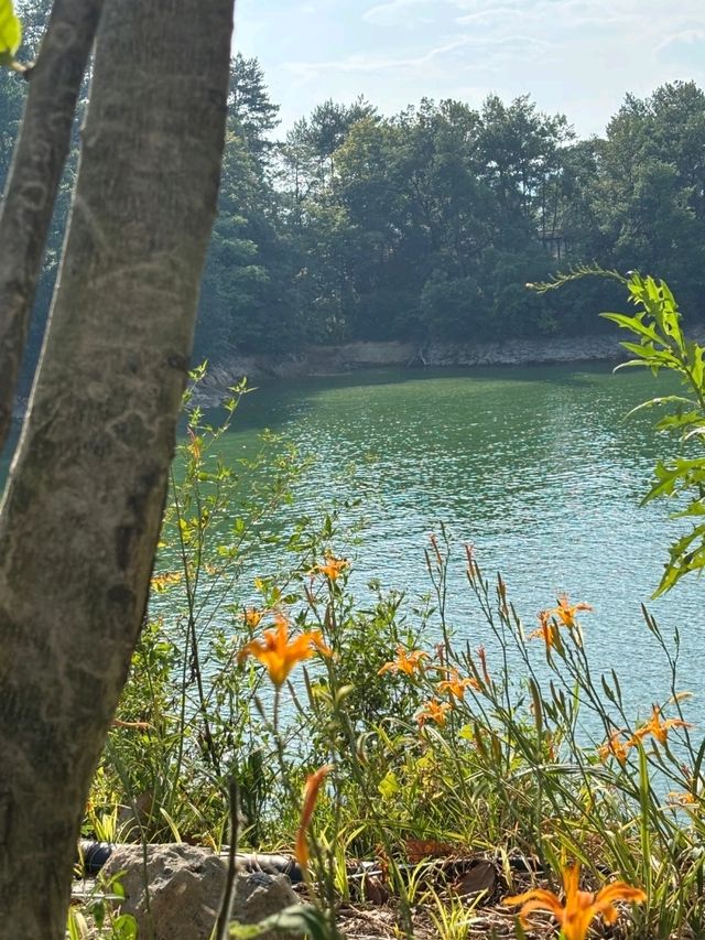 Qiandao Lake Bucket List: The Ultimate Check-In Guide