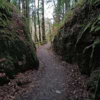 Mullinhassig Wood & Waterfalls, Aghavrin – Cork’s Wooded Waterfall Retreat