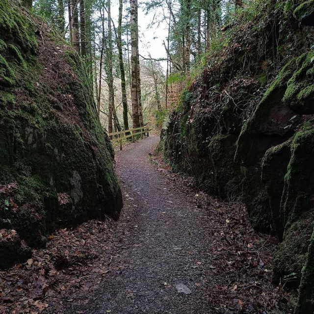 Mullinhassig Wood & Waterfalls, Aghavrin – Cork’s Wooded Waterfall Retreat