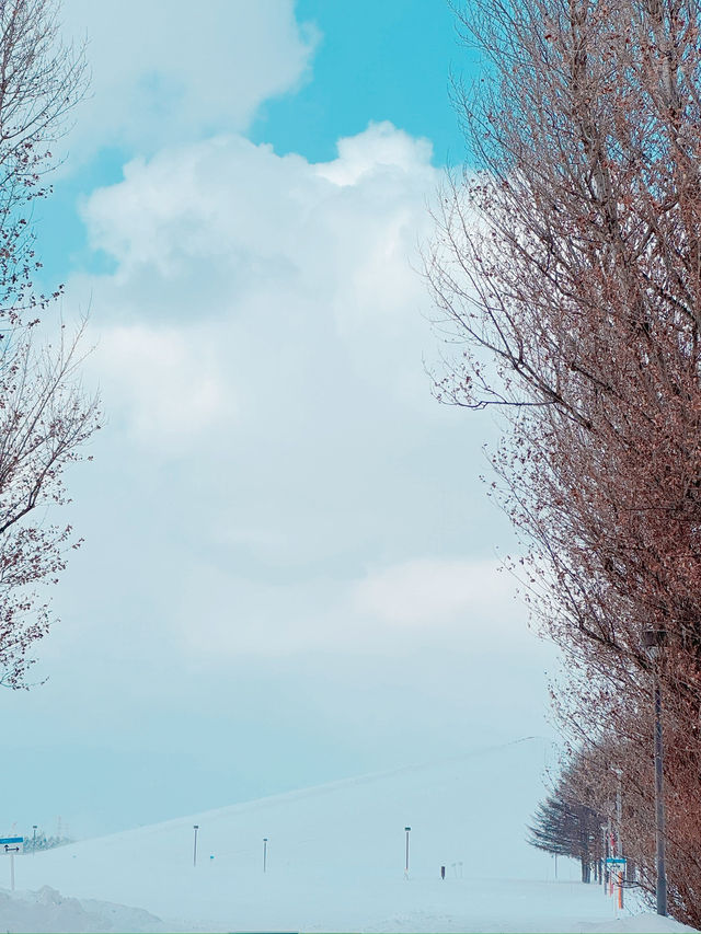 ❄️삿포로 도심에서 최고의 눈구경을 할 수 있는 ‘모에레누마 공원’ ❄️삿포로 도심에서 최고의 눈구경을 할 수 있는 ‘모에레누마 공원’