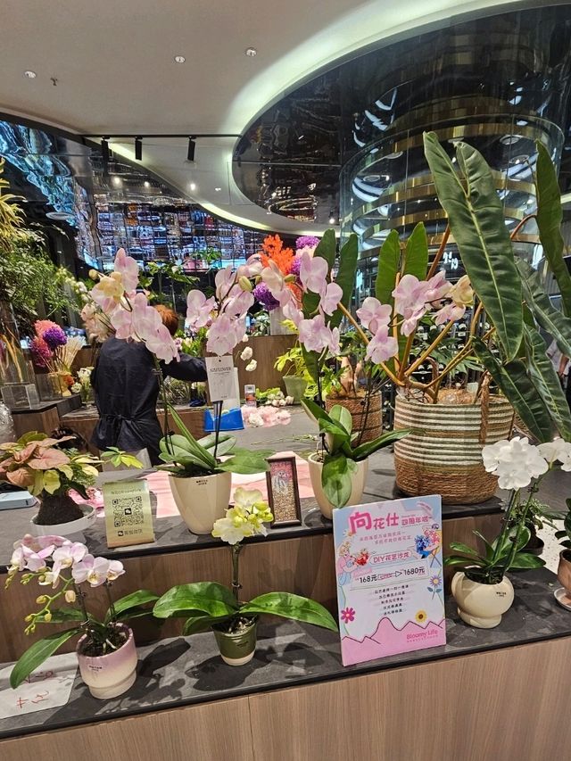 室內賞花享受慢時光