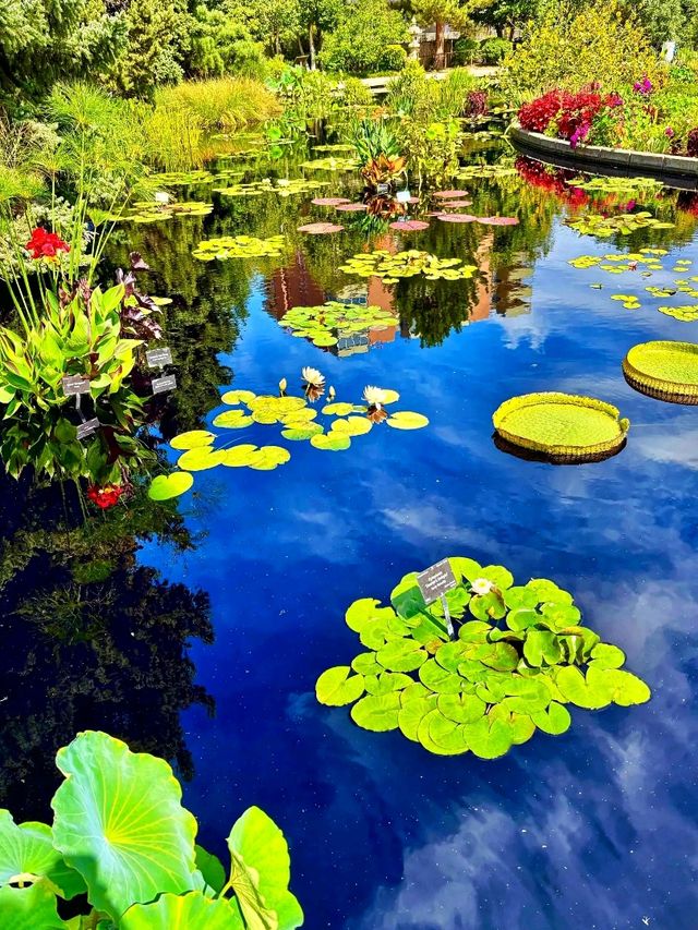 Botanic Bliss🌿 Denver Botanic Gardens – A Living Tapestry of Nature🌱 Botanic Bliss🌿 Denver Botanic Gardens – A Living Tapestry of Nature🌱