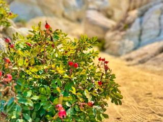 🎨 Paint Mines Interpretive Park – Colorado’s Hidden Rainbow Canyon