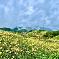 卡通玩偶貓貓蟲咖波及金針花仙子朵拉在六十石山等你同框