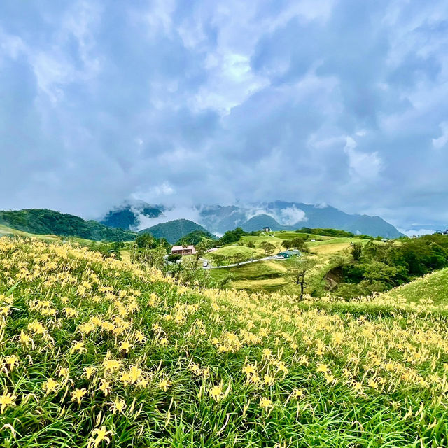 卡通玩偶貓貓蟲咖波及金針花仙子朵拉在六十石山等你同框