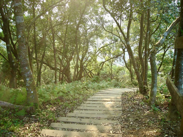 ⛰️新寮瀑布·太上老君道教總廟：自然與人文交織的一日旅程