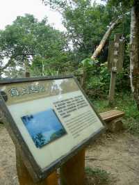 ⛰️新寮瀑布·太上老君道教總廟：自然與人文交織的一日旅程