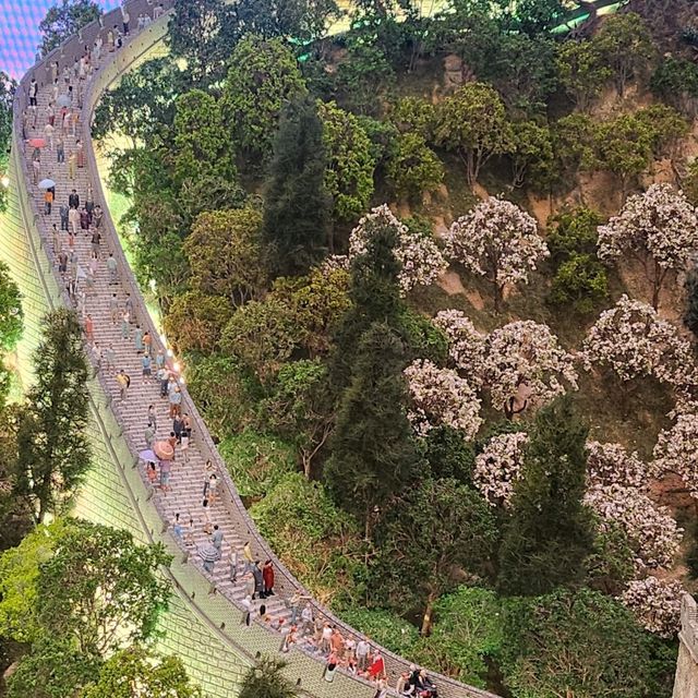 匠心華采